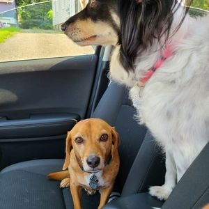 Meet your Posher, Moth